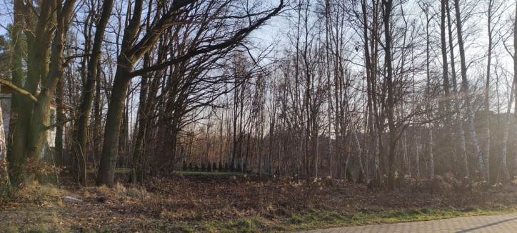 Działka Sprzedaż Warszawa Wawer Międzyosiedlowa 7
